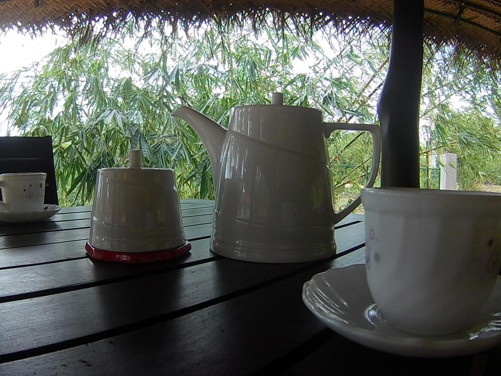 爽悦小屋和餐厅 坦加拉 外观 照片