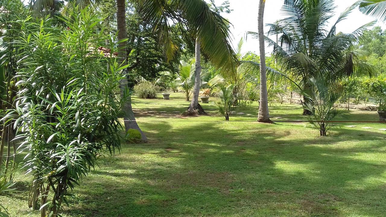 爽悦小屋和餐厅 坦加拉 外观 照片