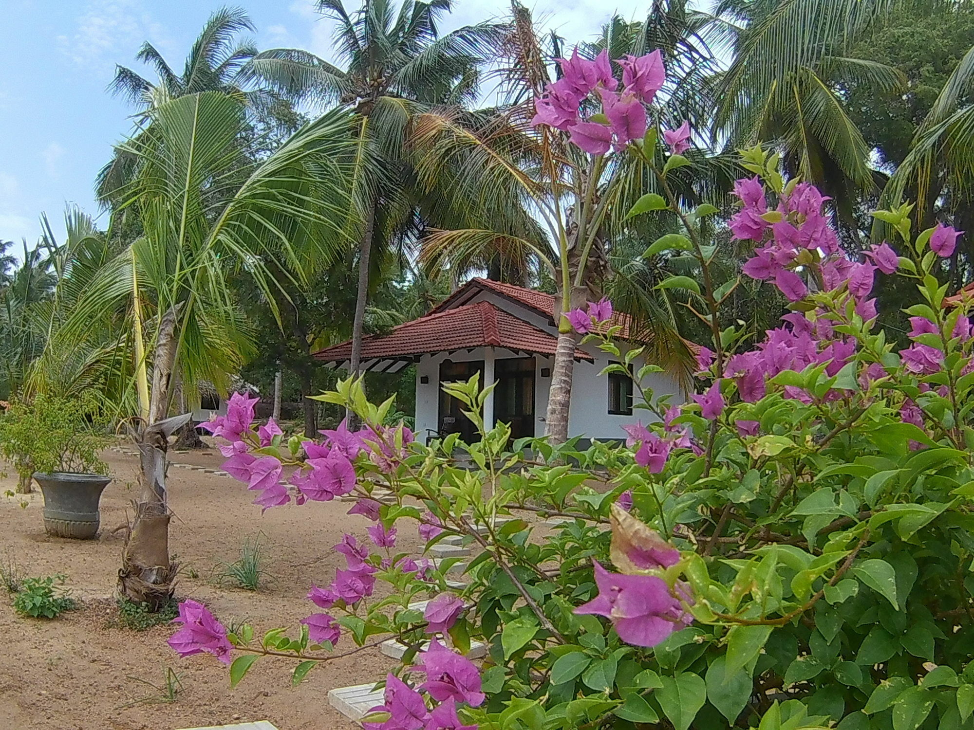爽悦小屋和餐厅 坦加拉 外观 照片